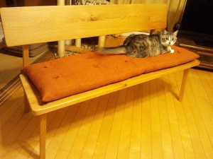 ベンチ用長座布団と猫