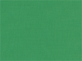 T/Cブロード緑色